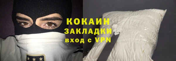 мдпв Гусь-Хрустальный