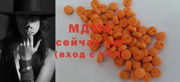 мдпв Гусь-Хрустальный