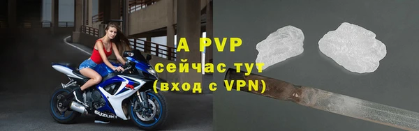 мдпв Гусь-Хрустальный