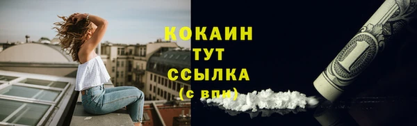 мдпв Гусь-Хрустальный