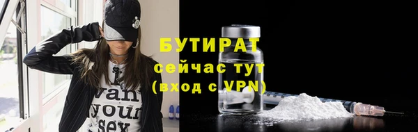 мдпв Гусь-Хрустальный