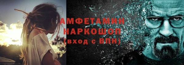 мдпв Гусь-Хрустальный