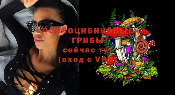 мдпв Гусь-Хрустальный