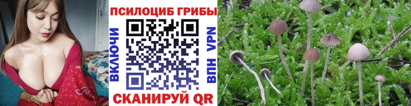 Галлюциногенные грибы Psilocybe  Туймазы 